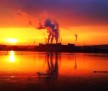 Sonnenaufgang über der Ingelheimer Aue by Elisabeth Krems (Wallufer Rheinufer) (2011-01-25)