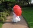The Umbrella by Britta Jänicke (Wörlitzer Park) (2011-02-28)