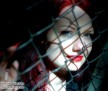 DSC_3554 -1