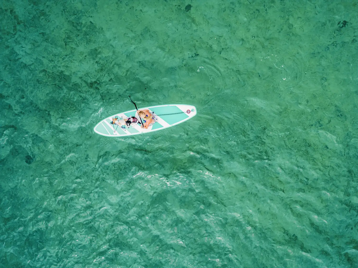 Person auf einem Stand-up-Paddle-Board im grünen Wasser von oben