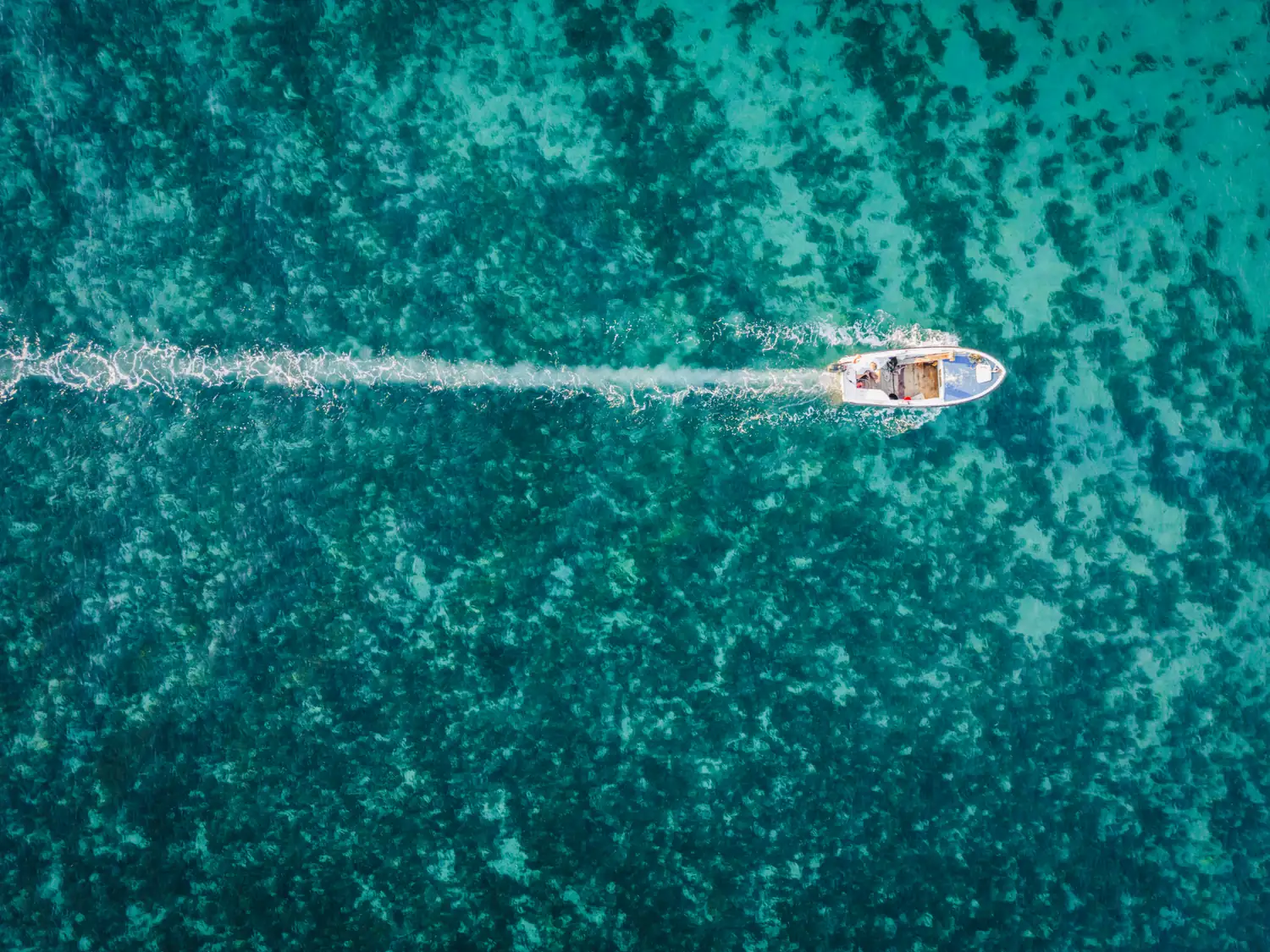 Motorboot mit Kielwasser auf türkisfarbenem Meer von oben