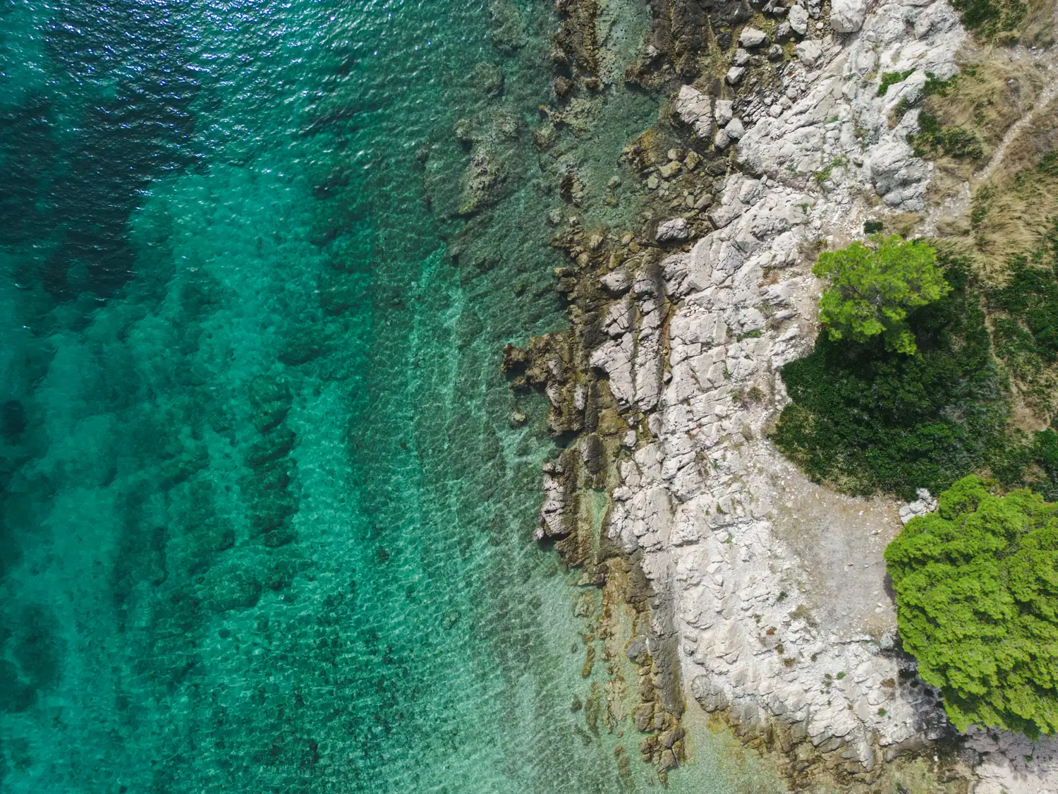 Felsküste mit Bäumen und türkisfarbenem Wasser aus der Luft
