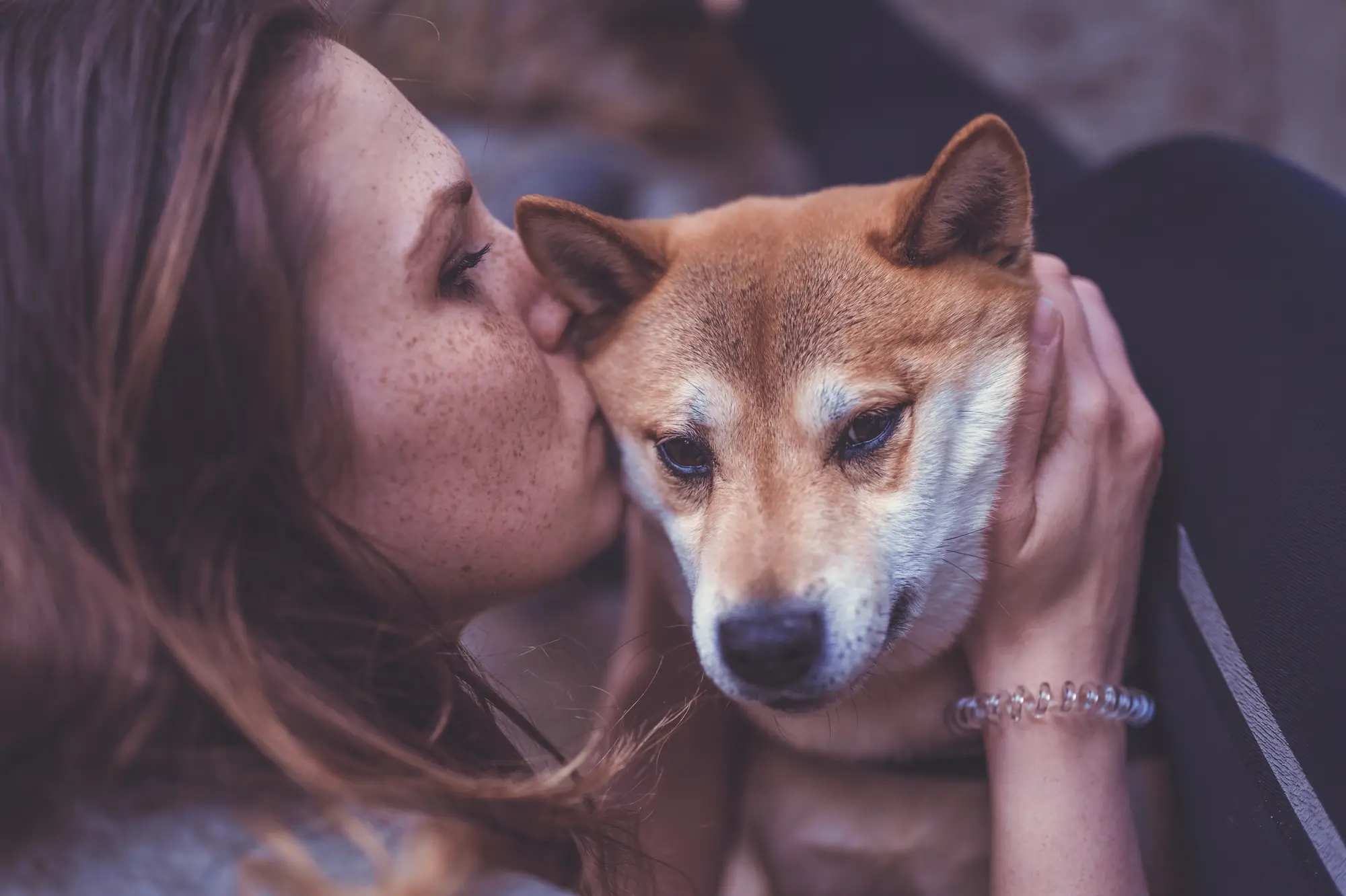 Frau küsst ihren Shiba Inu auf die Wange