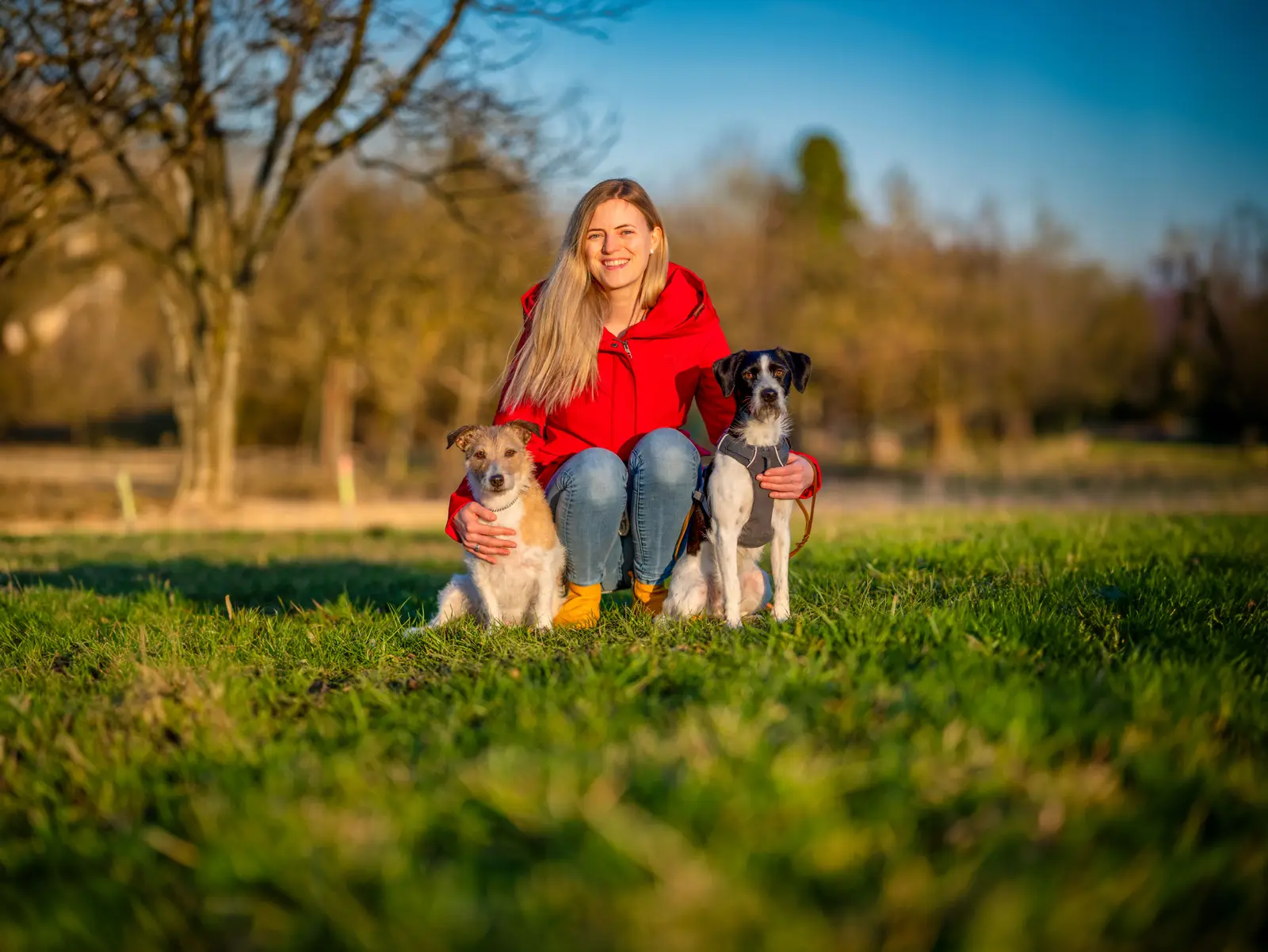 Frau in roter Jacke sitzt mit zwei Hunden auf einer Wiese