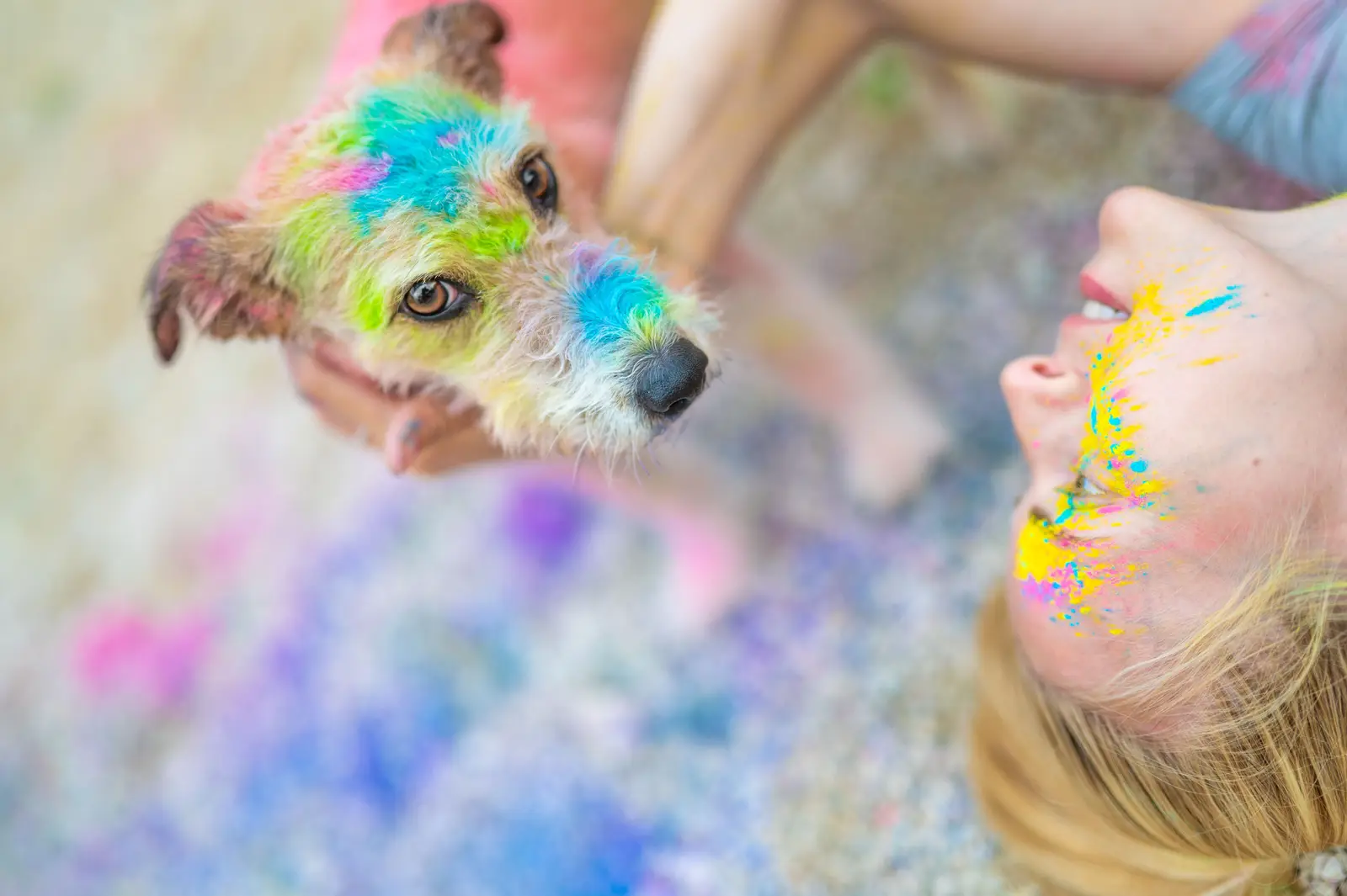 Hund und Frau mit Farbpulver, von oben fotografiert