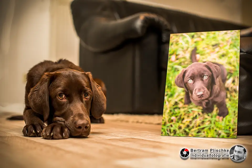 Ein Foto auf Aluminium von „lieblingsfoto.de“