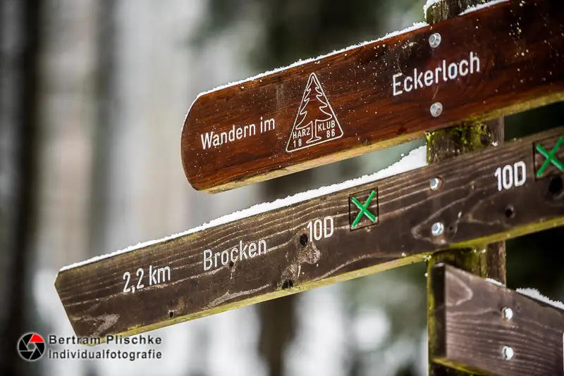 Eine Fototour zum Brocken