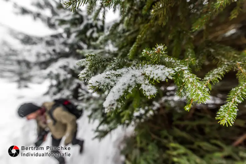 Eine Fototour zum Brocken