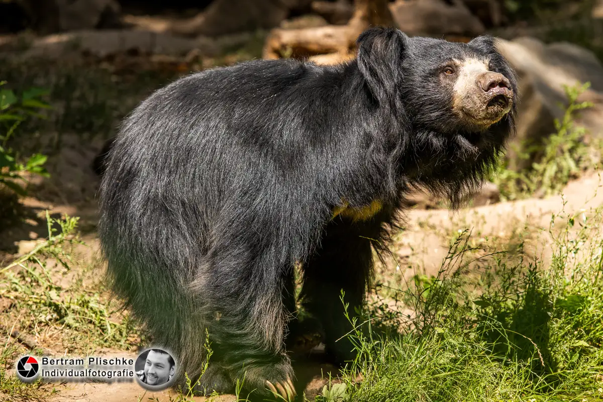 Die Nikon D850 – 45 Megapixel in Aktion – ein kleiner Test