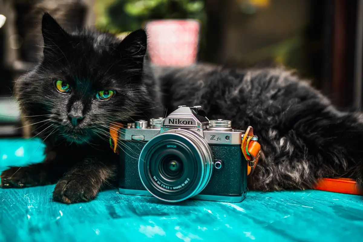 Samson und die Nikon Z fc