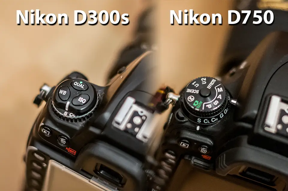 einstellennikon